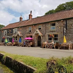 Plume Of Feathers Мини-отель Blagdon